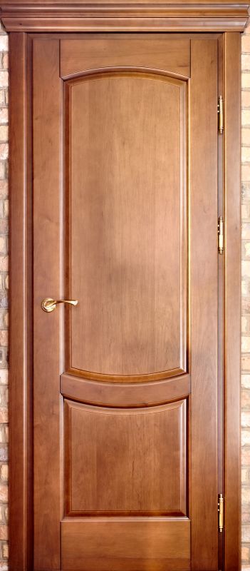 Elegant Interior Door